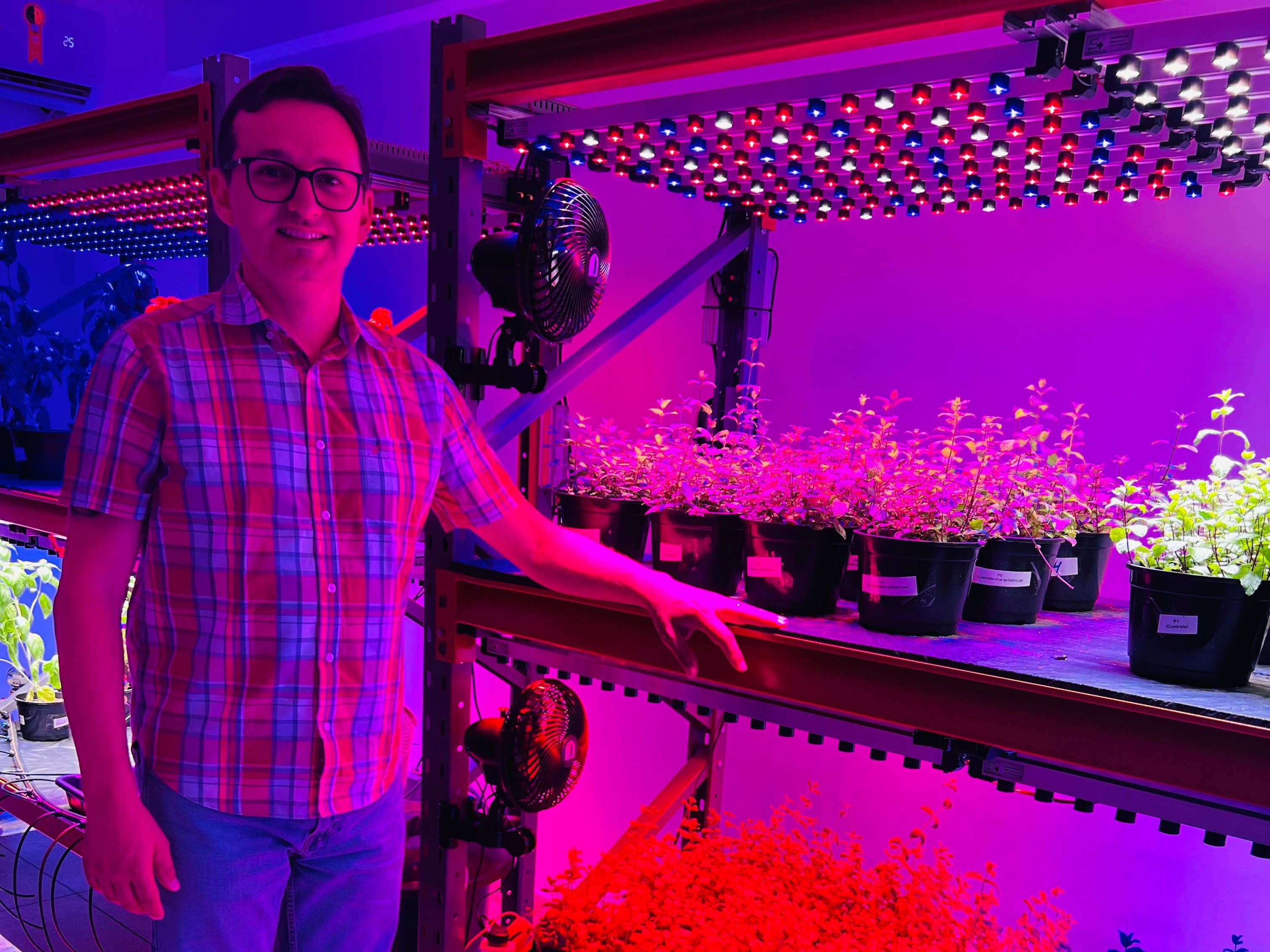 imagem sem descrição.