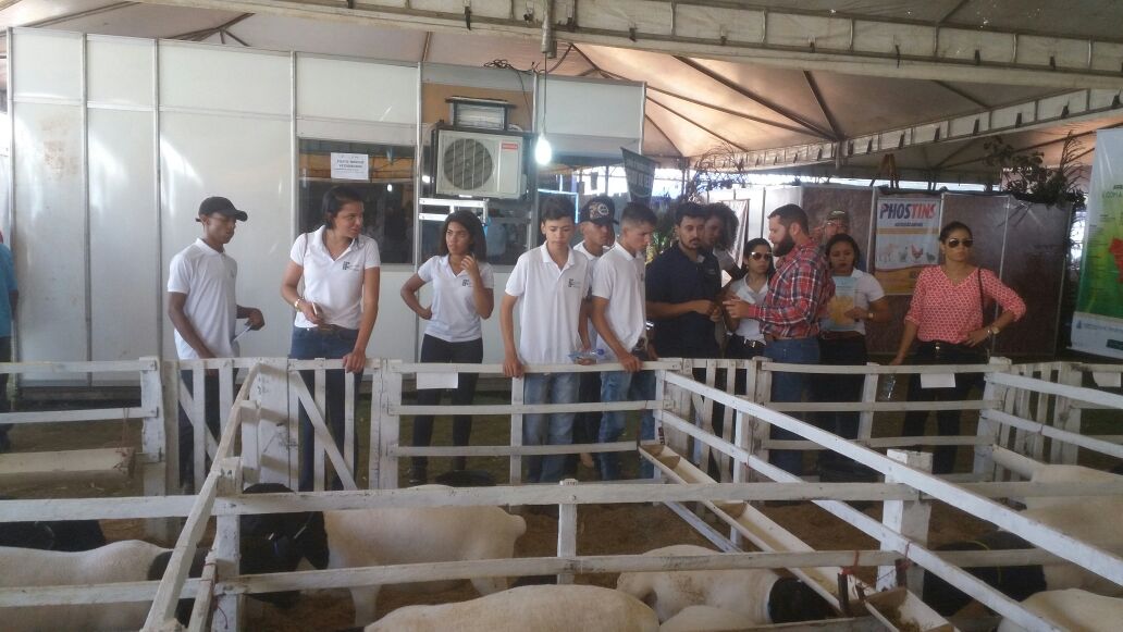 Alunos visitam instalações com animais na Agrotins 2018.