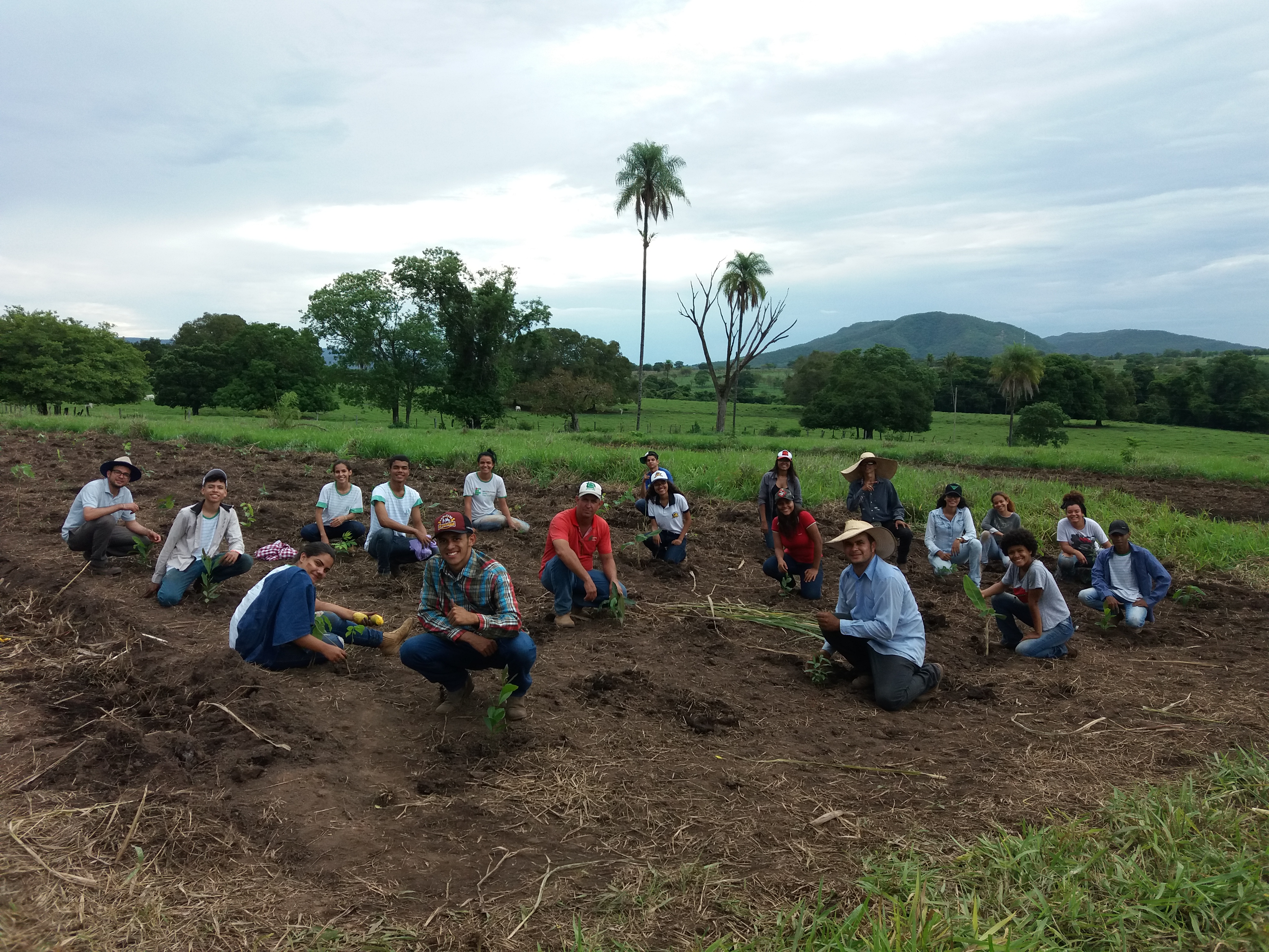 Plantio de mudas durante aula prática do curso técnico em Agropecuária. imagem sem descrição.