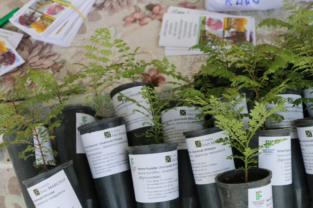 imagem sem descrição.