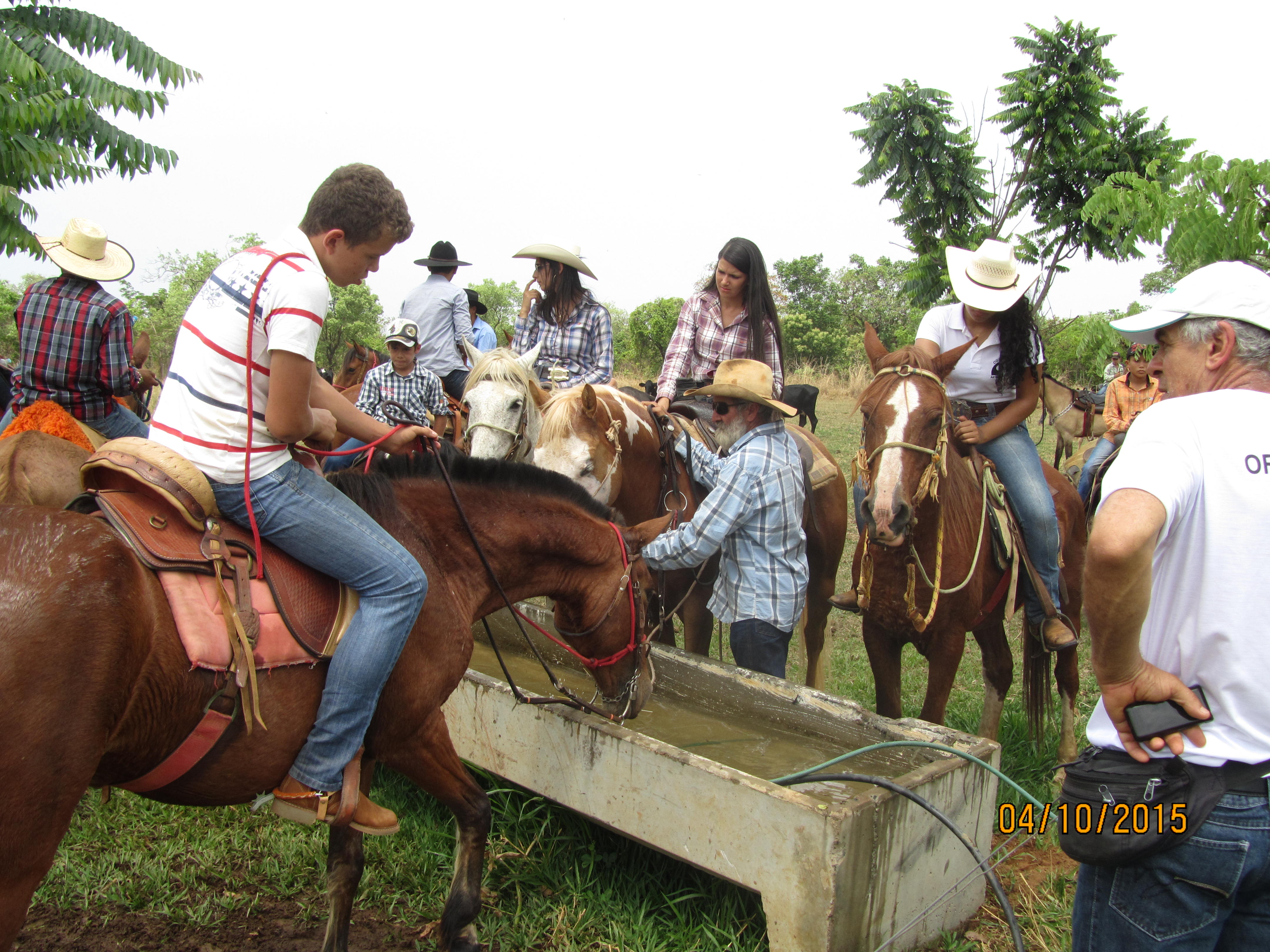 imagem sem descrição.