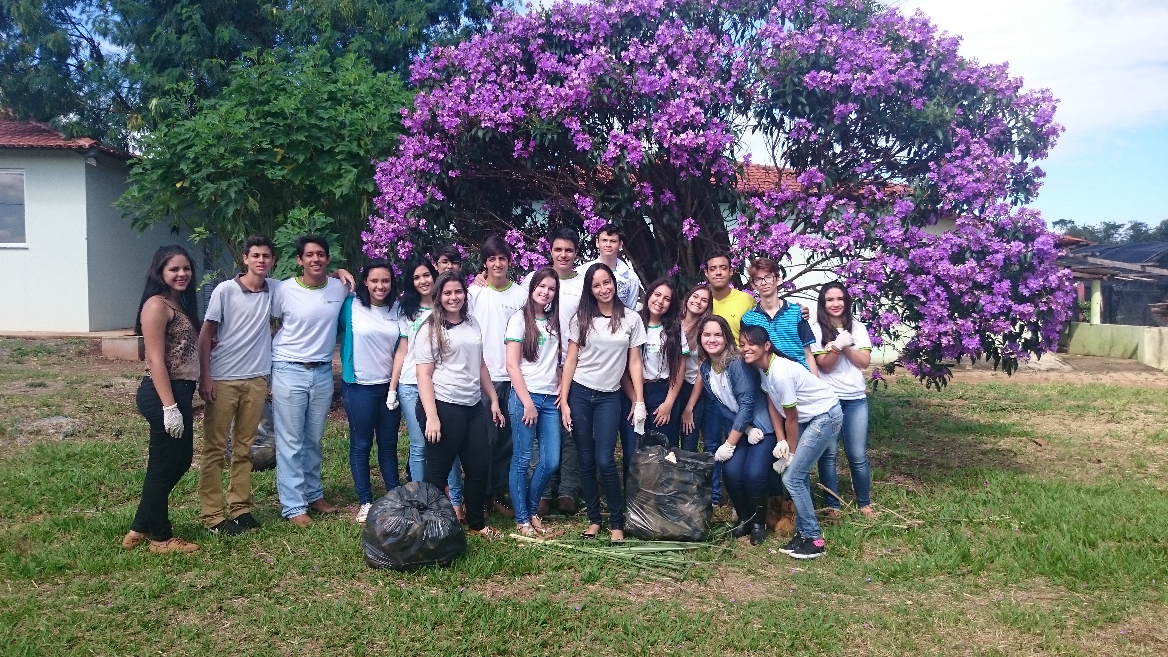 imagem sem descrição.