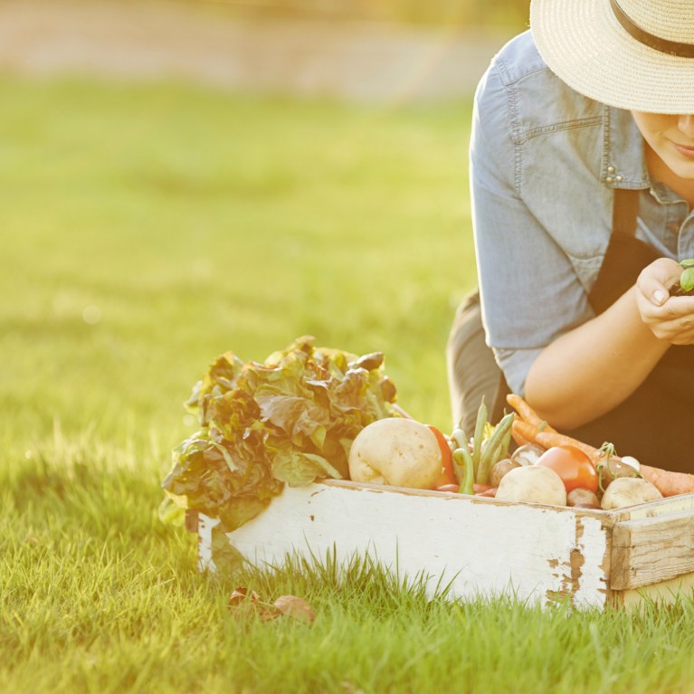 imagem sem descrição.
