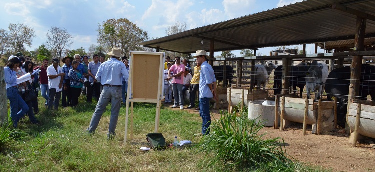 imagem sem descrição.