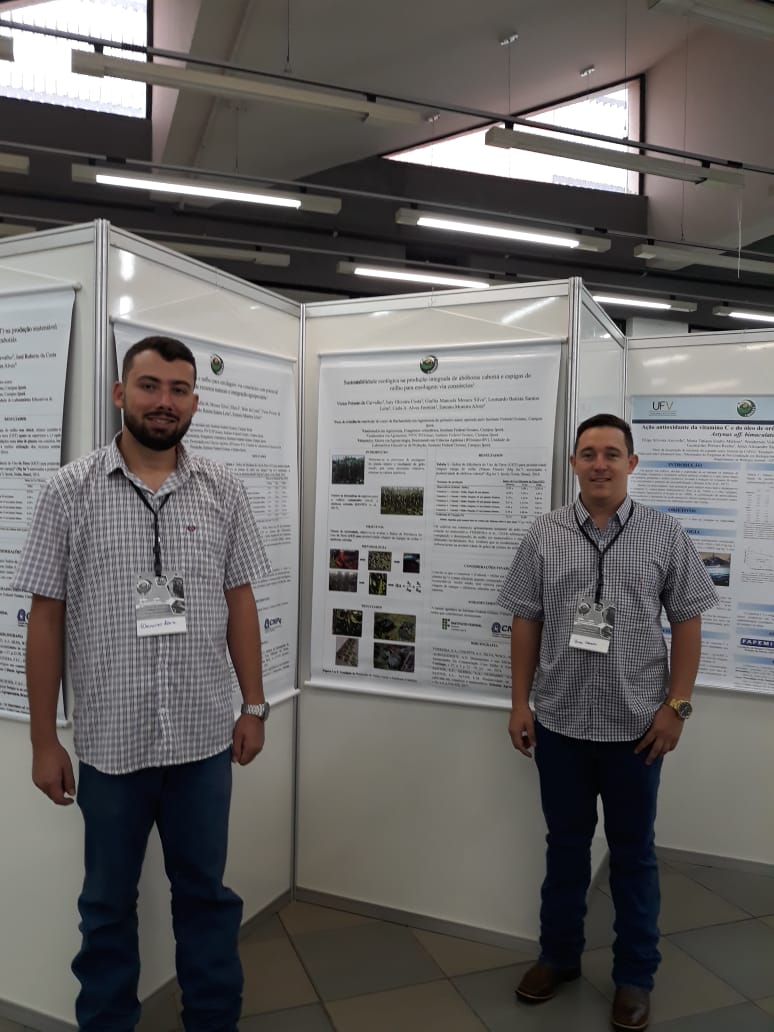 imagem sem descrição.