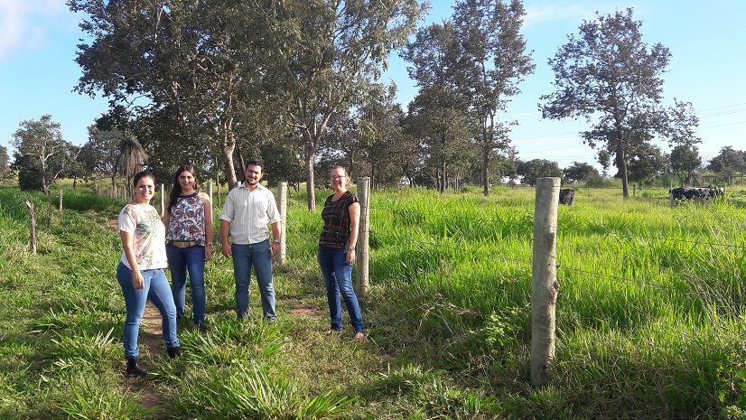 imagem sem descrição.