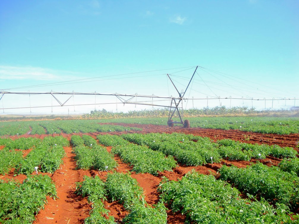 imagem sem descrição.
