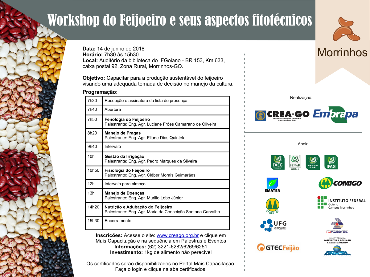 imagem sem descrição.