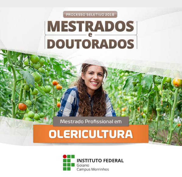 imagem sem descrição.