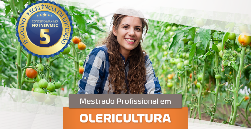 imagem sem descrição.