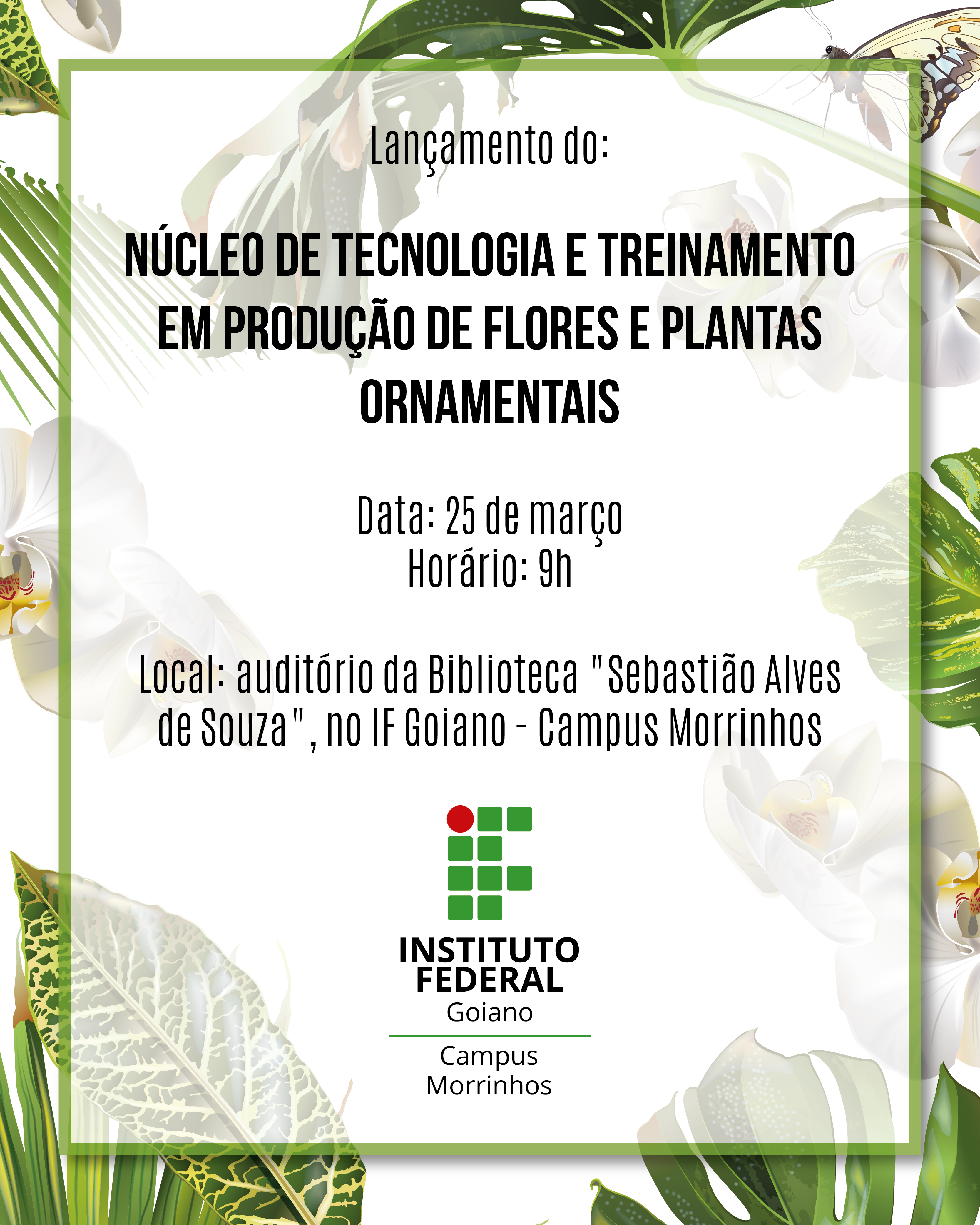 imagem sem descrição.