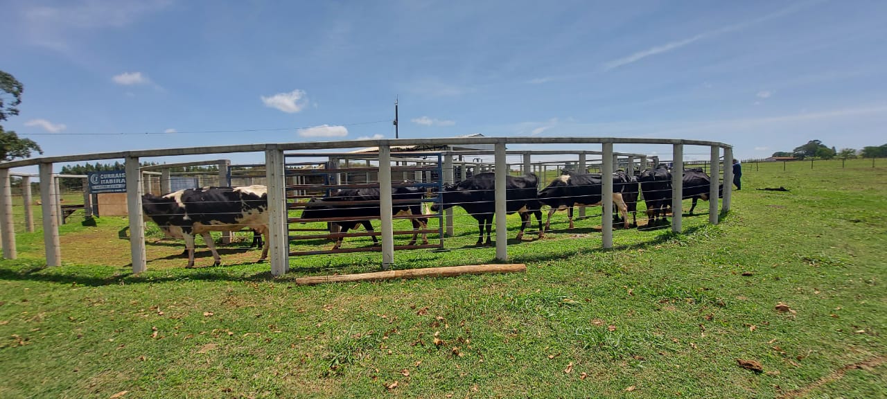 imagem sem descrição.