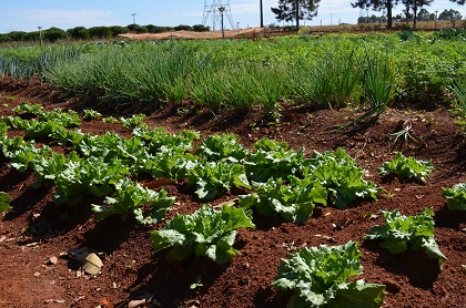 imagem sem descrição.