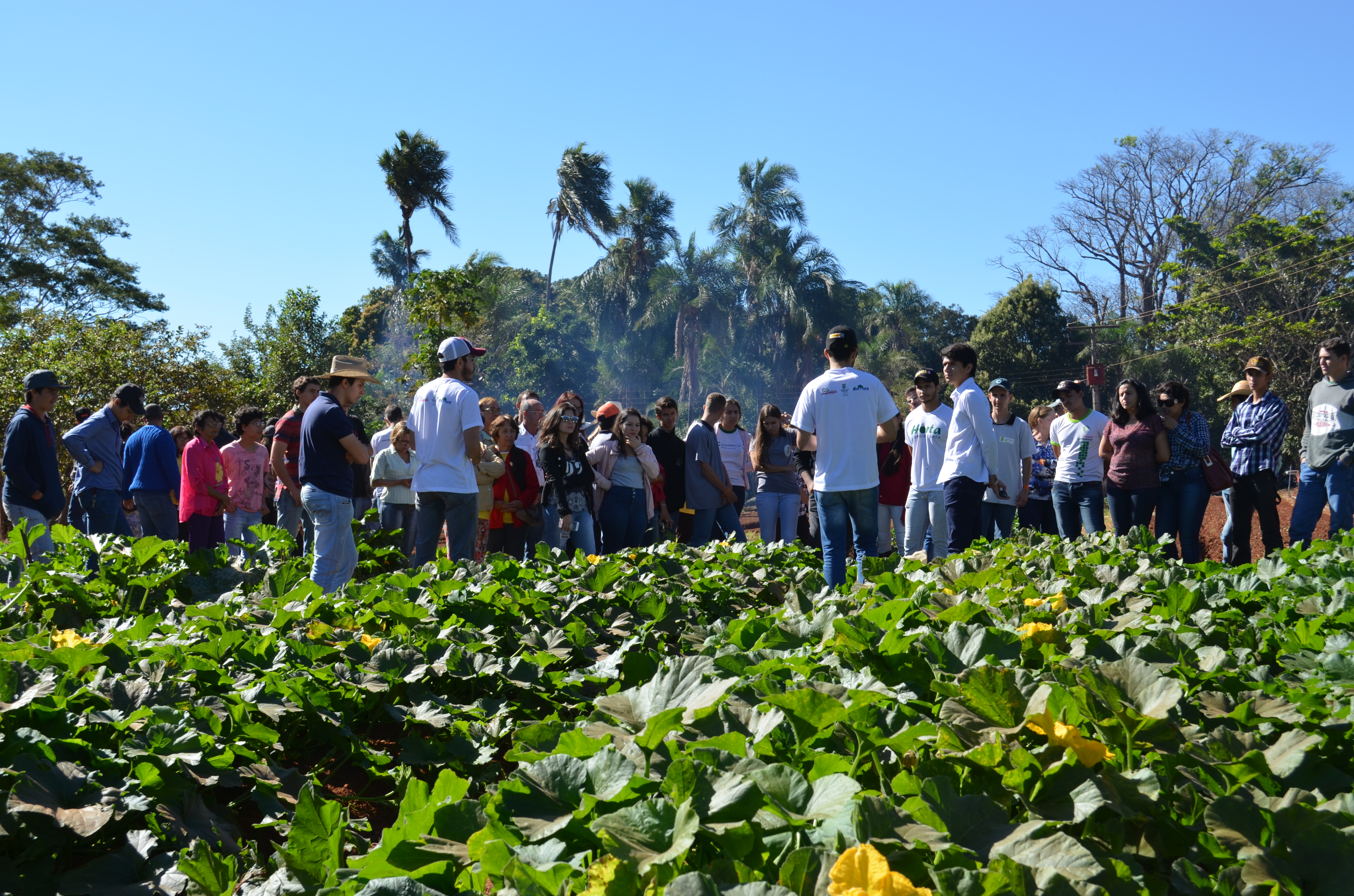 imagem sem descrição.