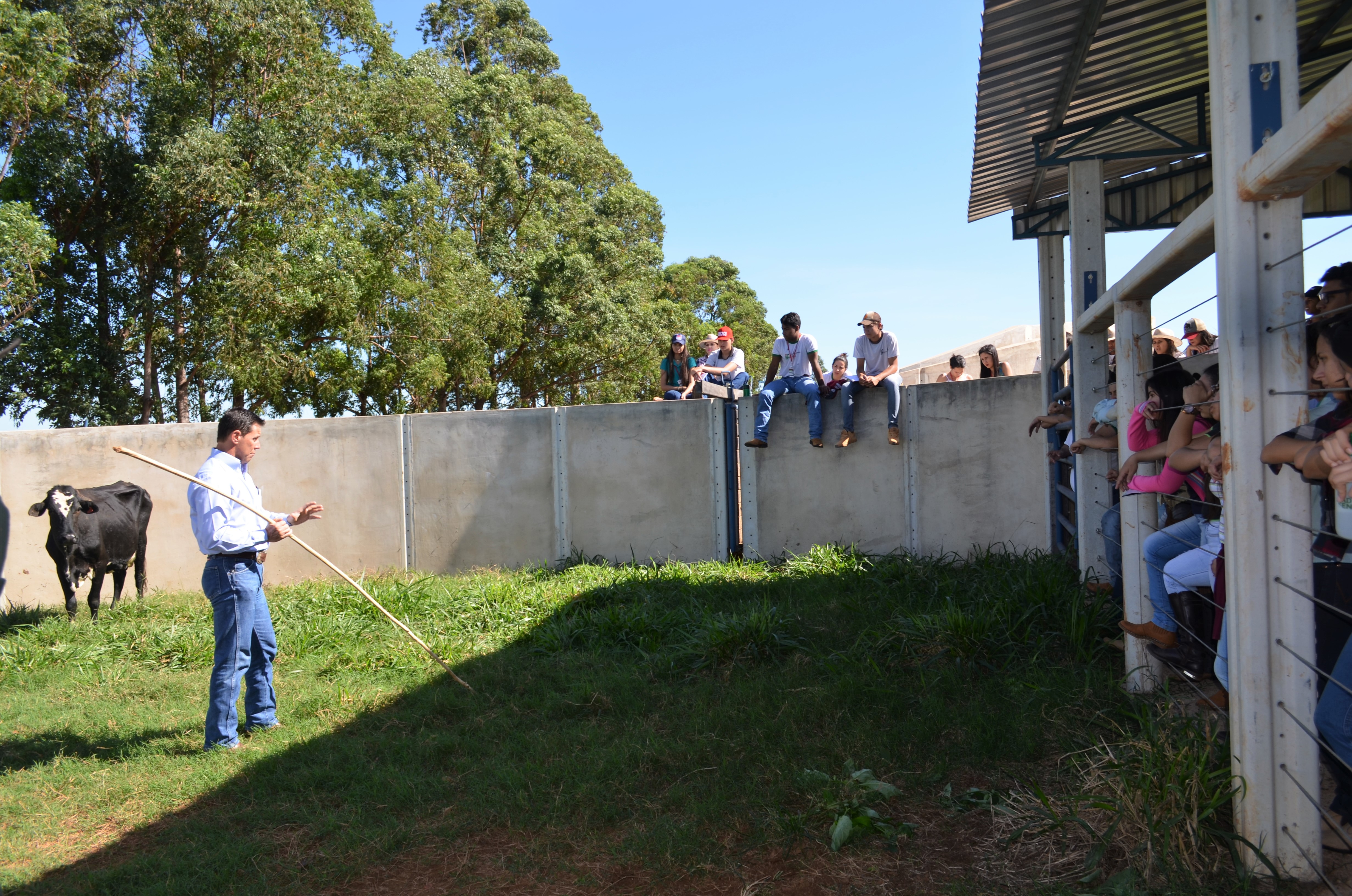 imagem sem descrição.