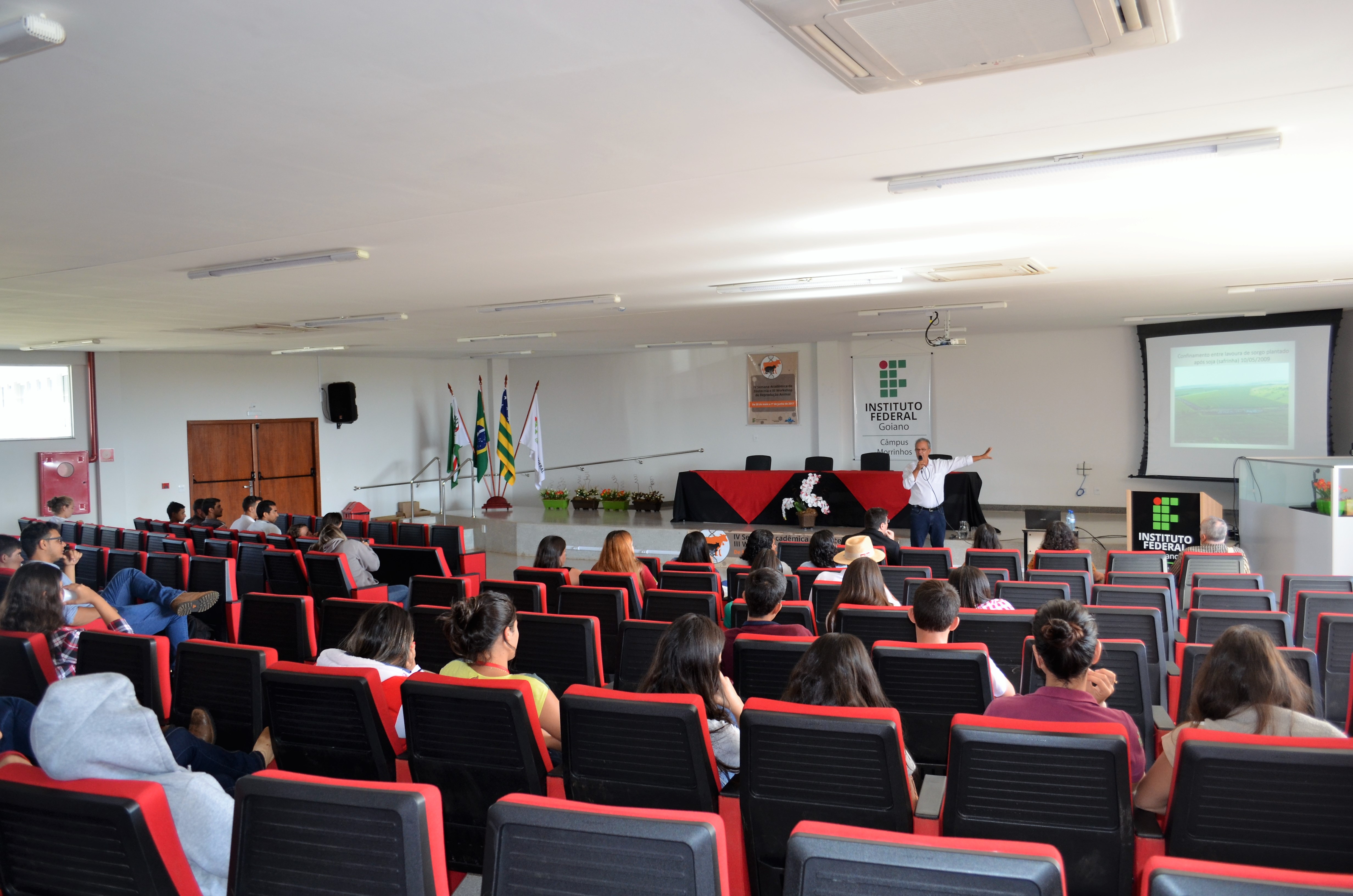 imagem sem descrição.