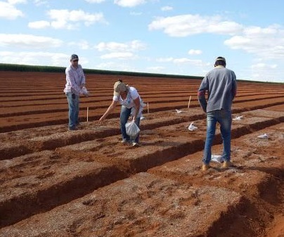 Estudantes trabalham em experimento na Fazenda Retiro, zona rural de Cristalina