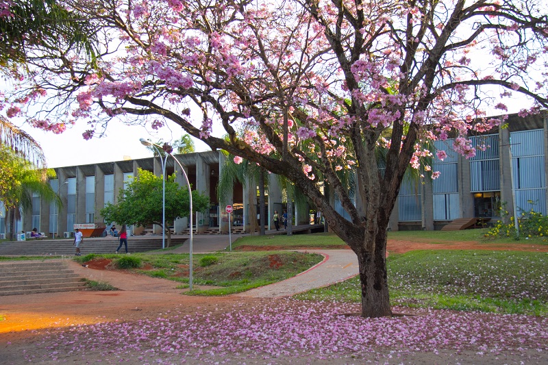 Universidade de Brasília é a sede do seminário. Foto: UnB Agência