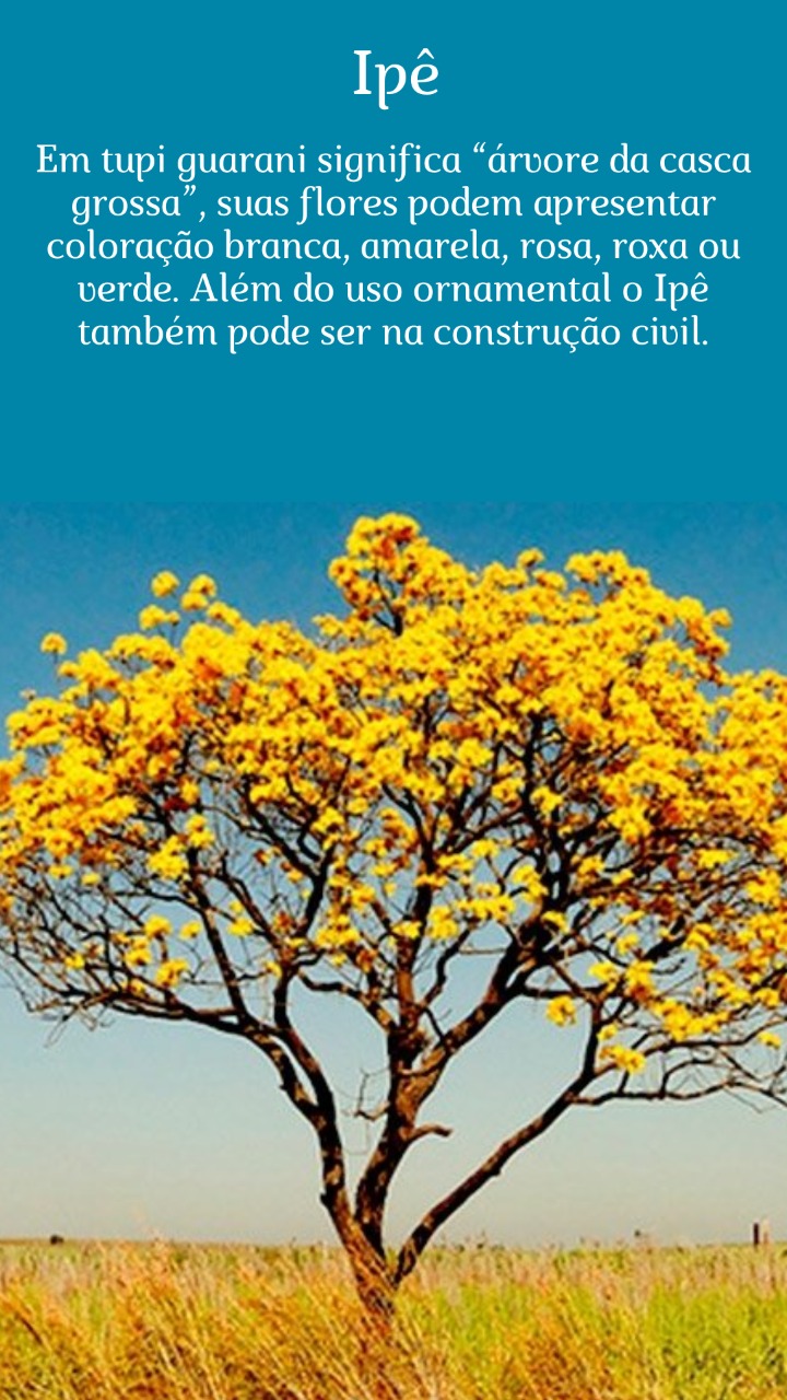 Escolha a árvore símbolo do Jardim Botânico de Rio Verde