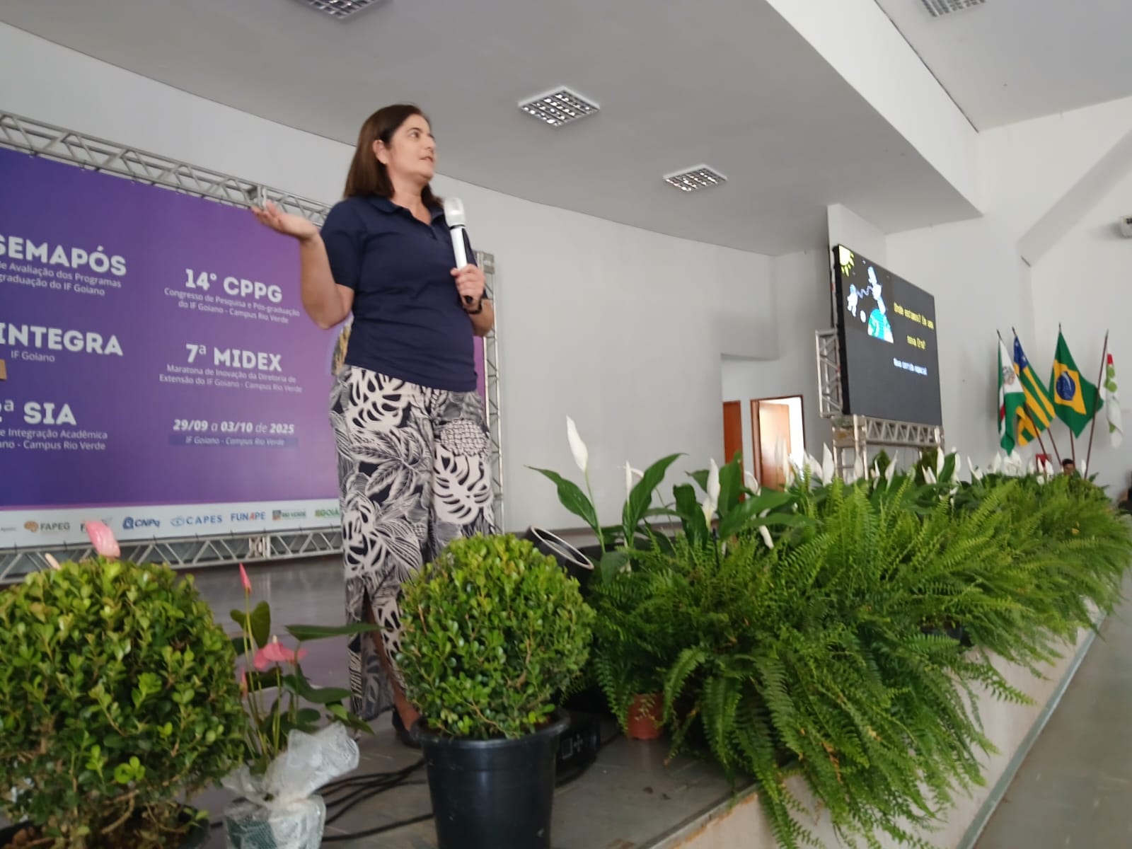 imagem sem descrição.