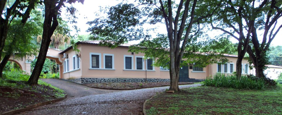 Departamento de Genética da Faculdade de Medicina de Ribeirão Preto – USP imagem sem descrição.